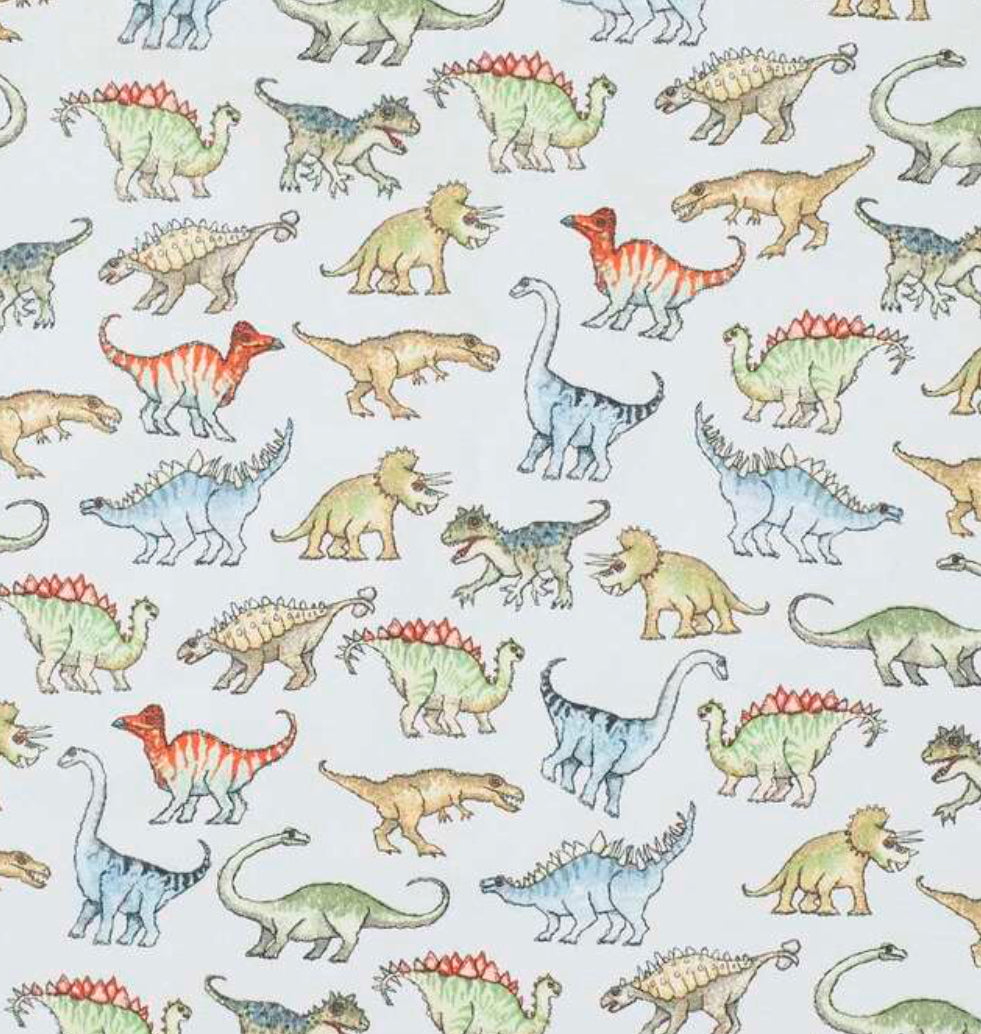 Dino Flannelette Boomerang Pillow Case – Assassins Designs Yoga