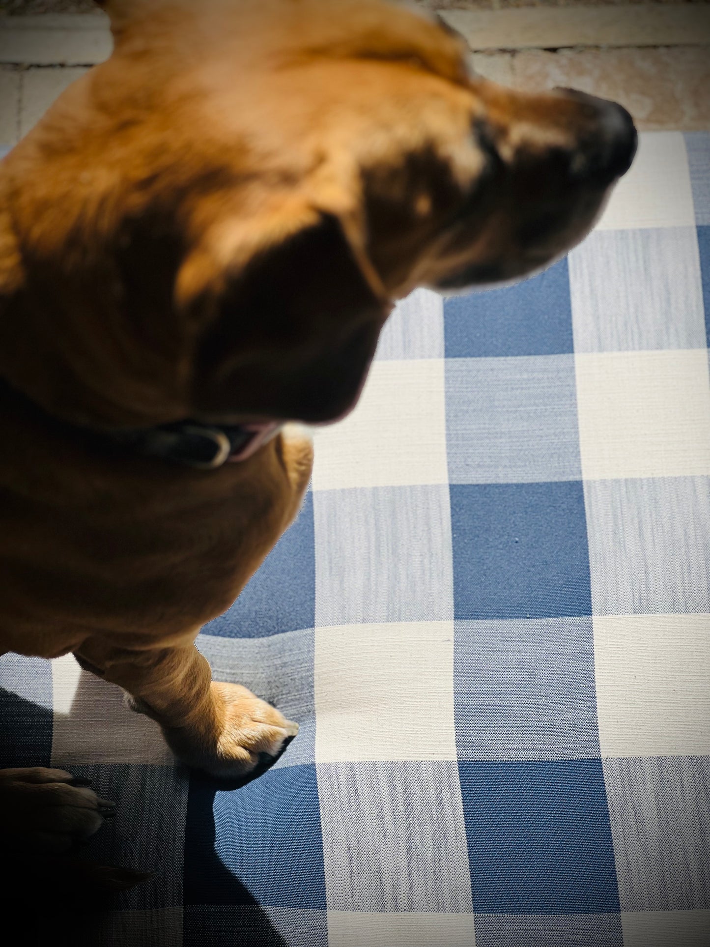 Hamptons in navy - Pet Bed