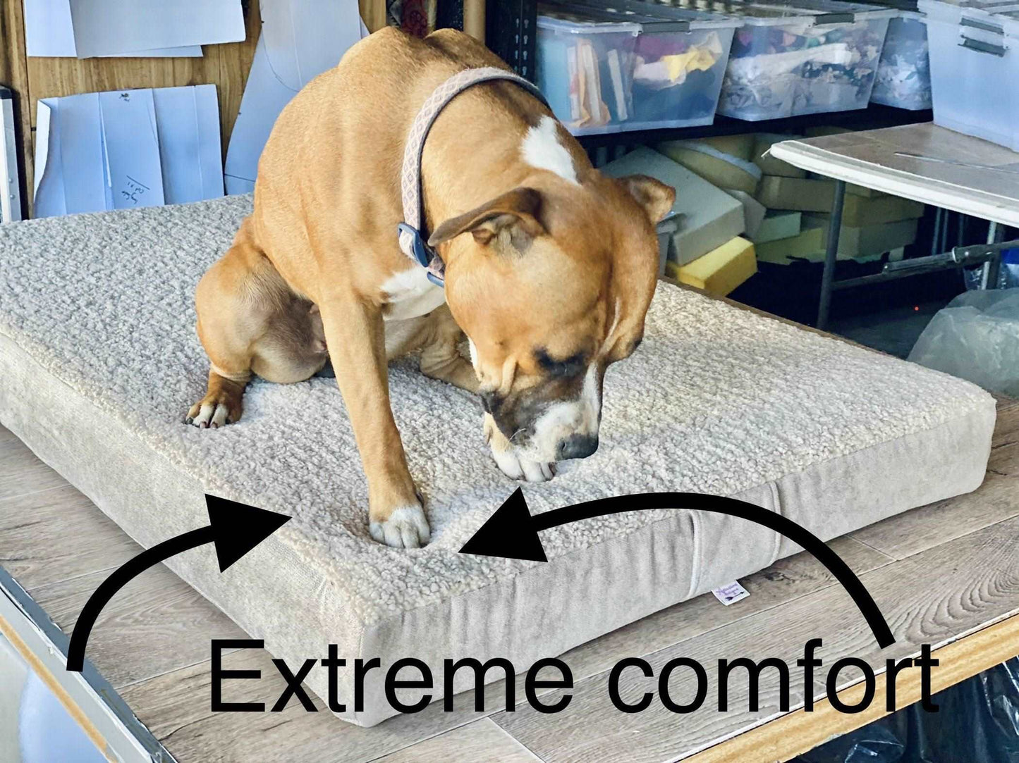 Pet beds - complete with removable cover! Yoga bolsters and Floor Cushions - Assassinsdesigns