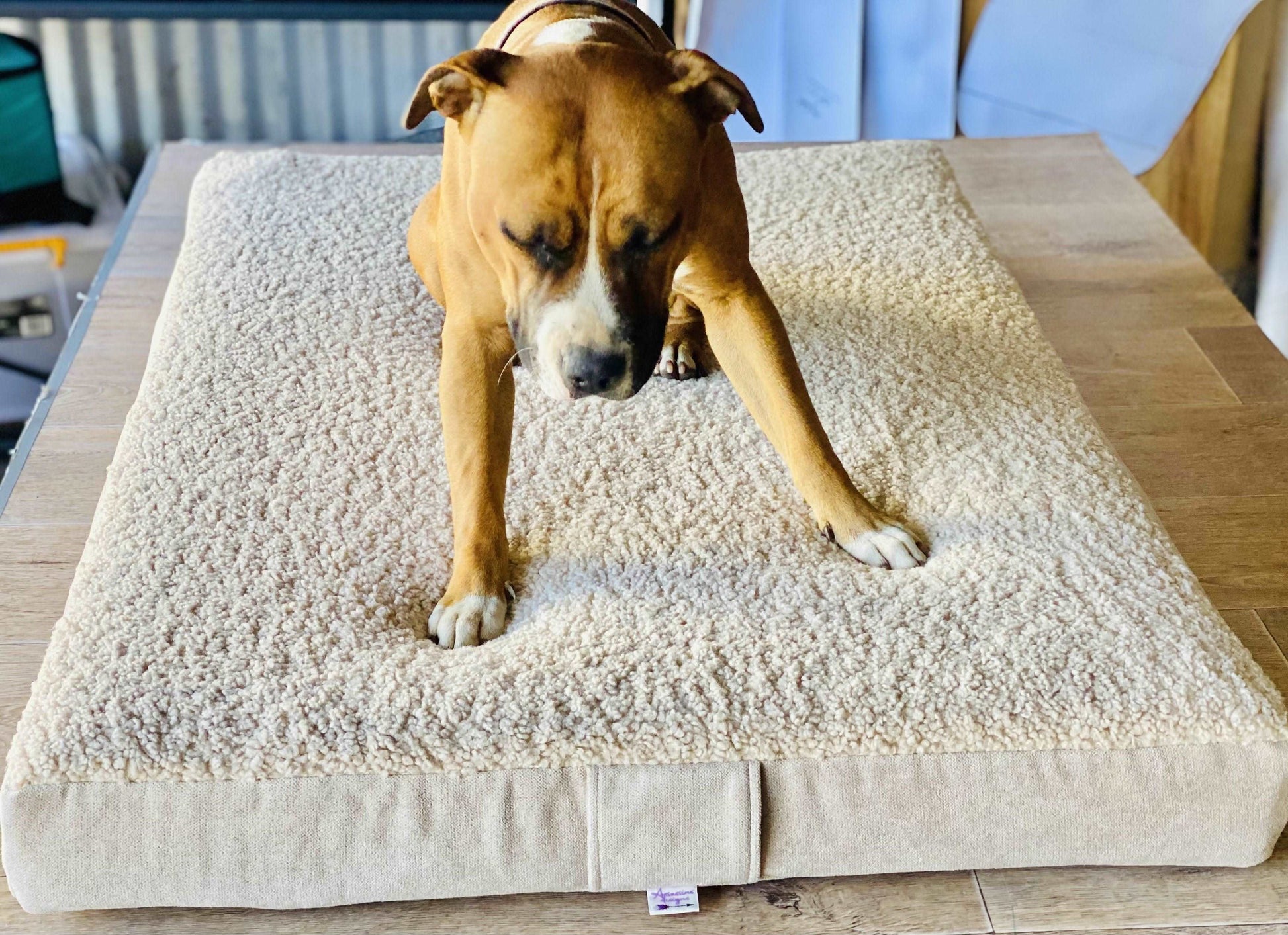 Pet beds - complete with removable cover! Yoga bolsters and Floor Cushions - Assassinsdesigns