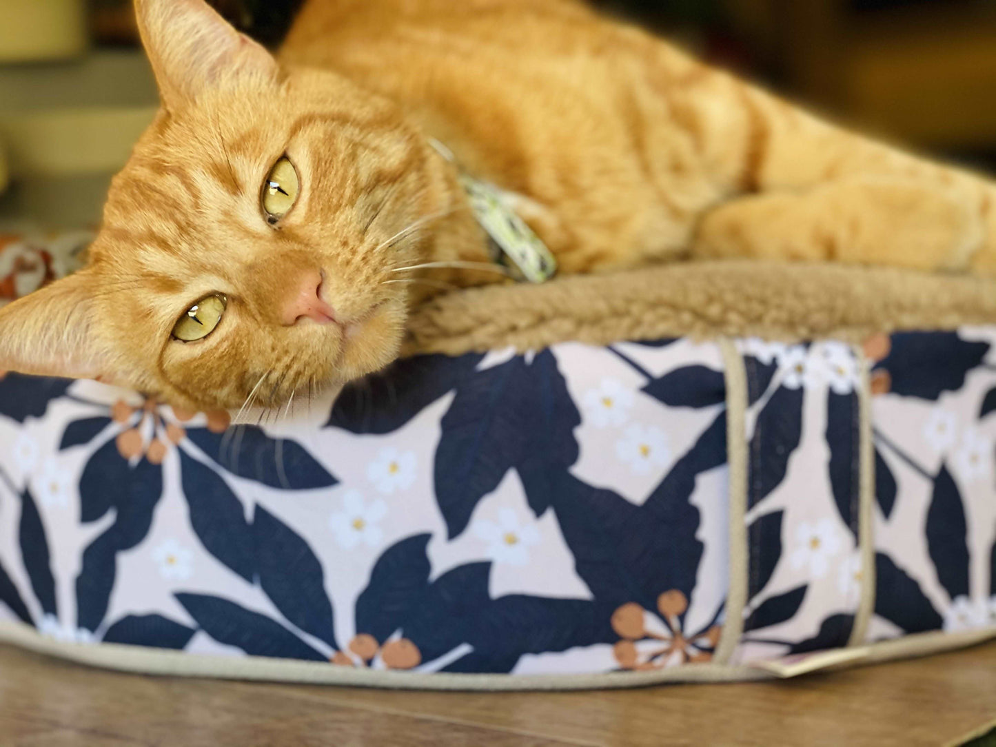 Pet beds - complete with removable cover! Yoga bolsters and Floor Cushions - Assassinsdesigns Jocelyn 67cm