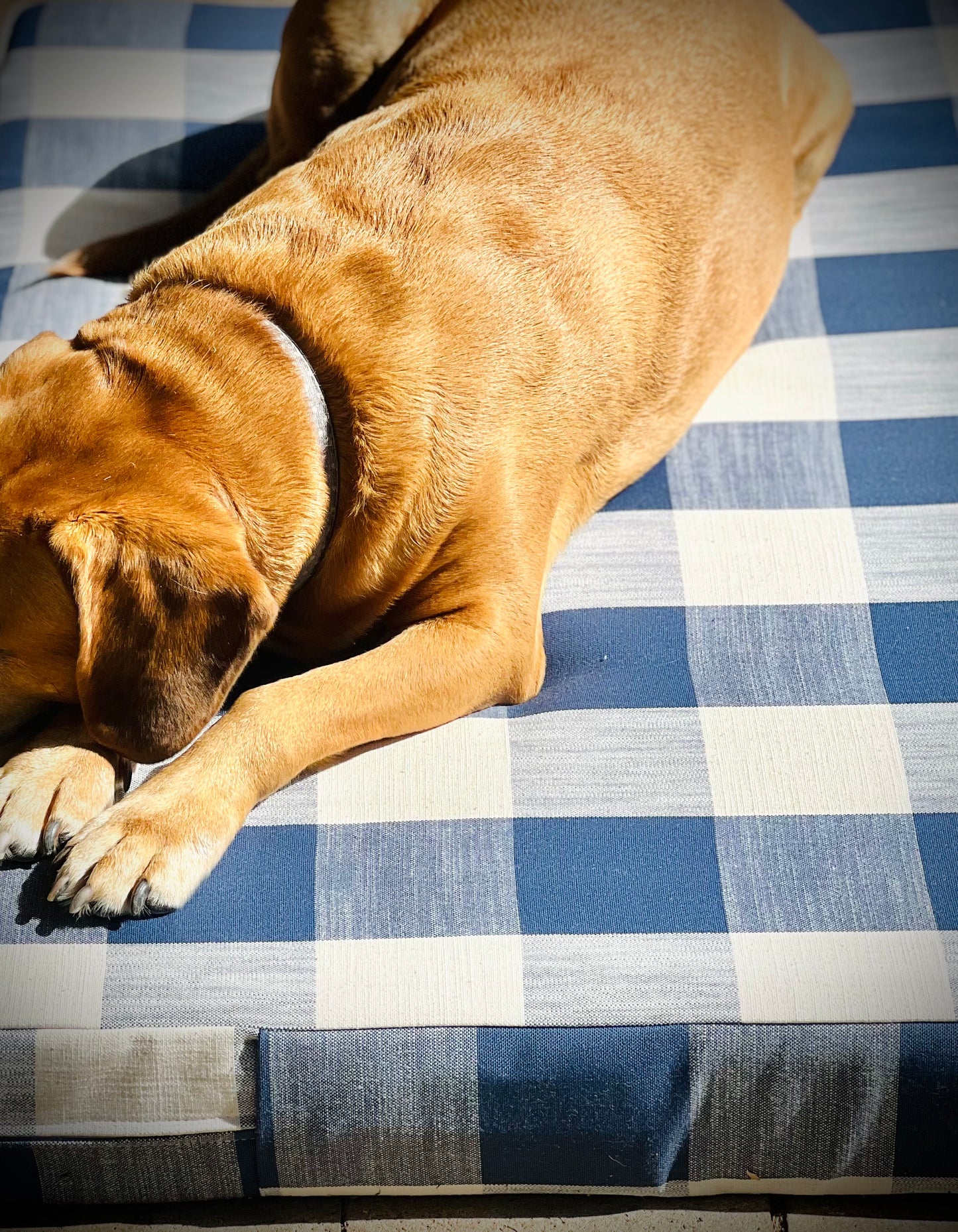 Hamptons  in navy - Pet Bed