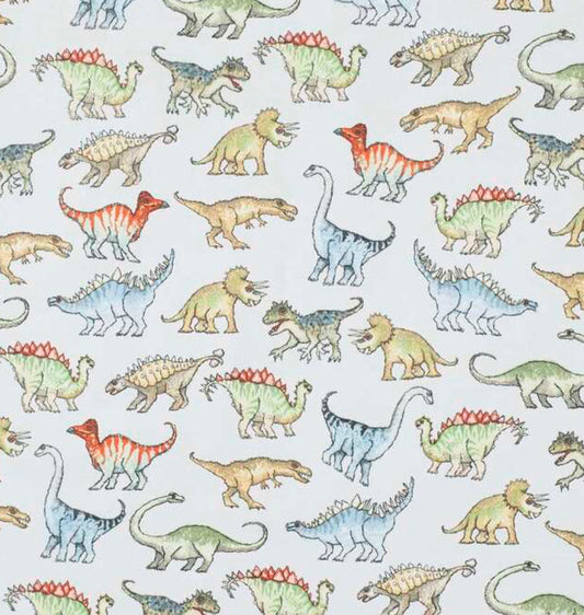 Dino Flannelette - Boomerang Pillow Case