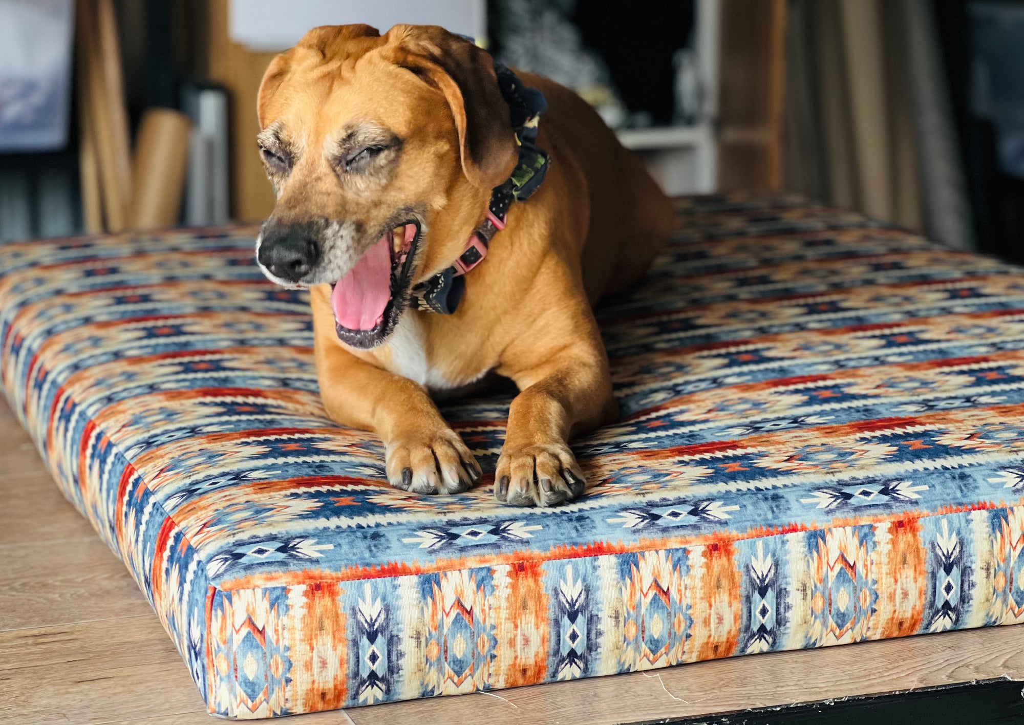 Full size dog bed best sale