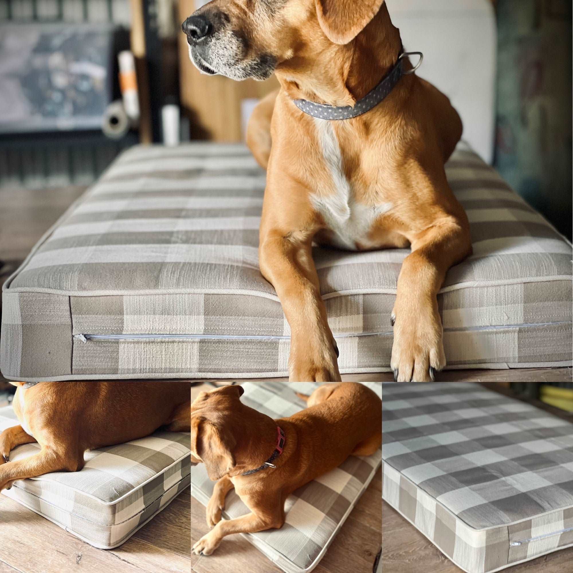 Hamptons  - Pet Bed