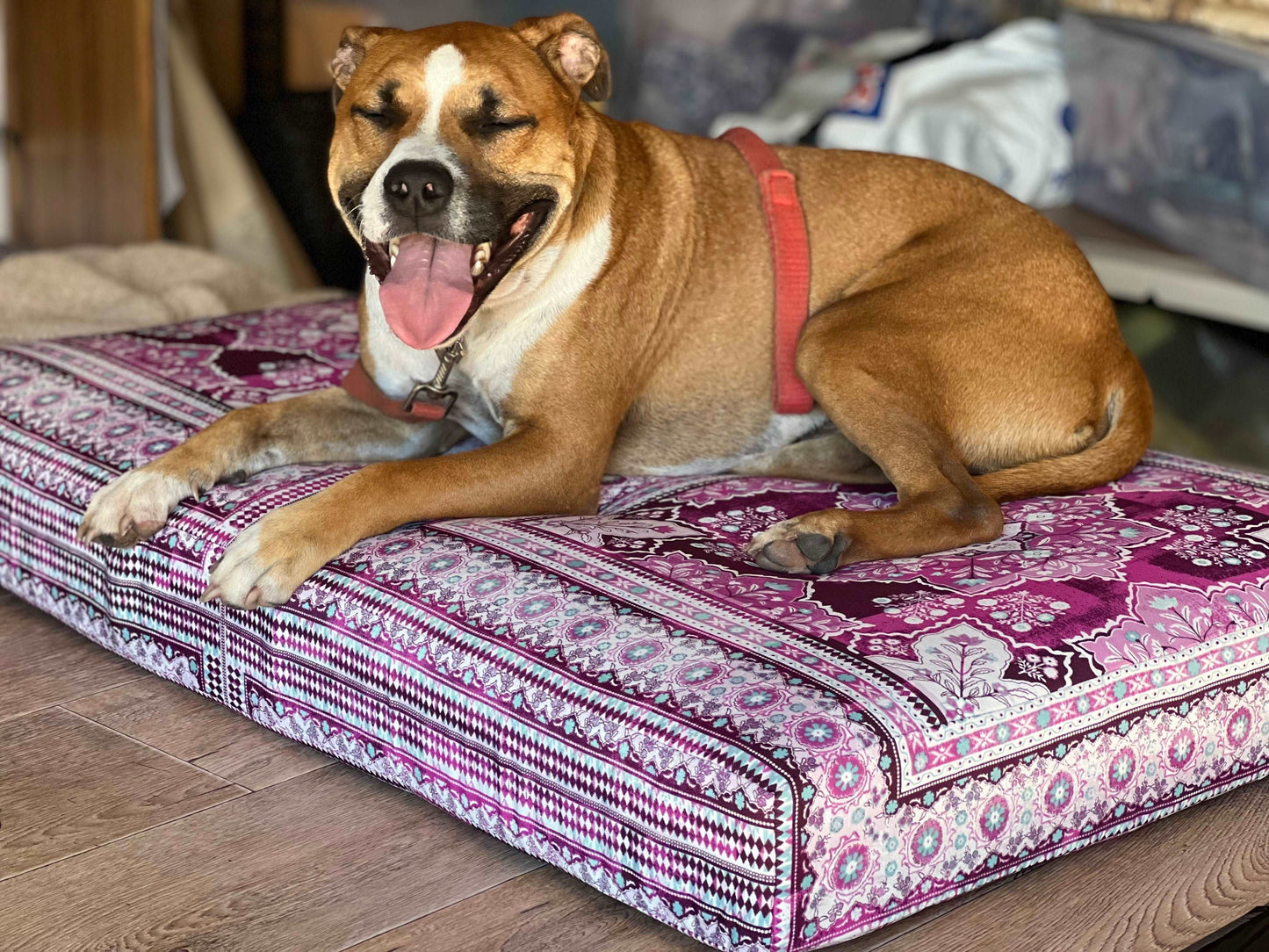 Pet beds - complete with removable cover! Yoga bolsters and Floor Cushions - Assassinsdesigns 