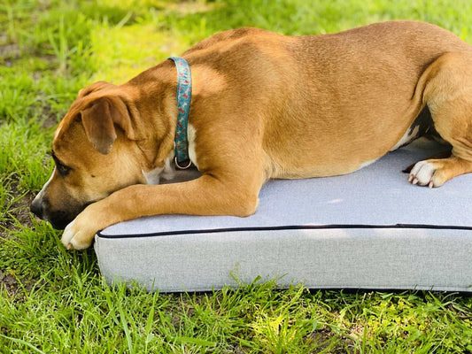 Grey  - Pet Bed