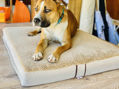 Pet beds - complete with removable cover! Yoga bolsters and Floor Cushions - Assassinsdesigns Sherpa Medium 