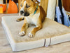Pet beds - complete with removable cover! Yoga bolsters and Floor Cushions - Assassinsdesigns Sherpa Medium