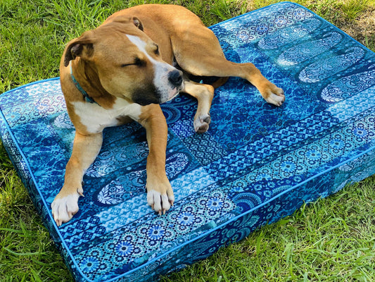 Pet beds - complete with removable cover! Yoga bolsters and Floor Cushions - Assassinsdesigns Blue paisley (water resistant) Medium 