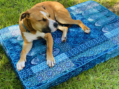 Pet beds - complete with removable cover! Yoga bolsters and Floor Cushions - Assassinsdesigns Blue paisley (water resistant) Medium
